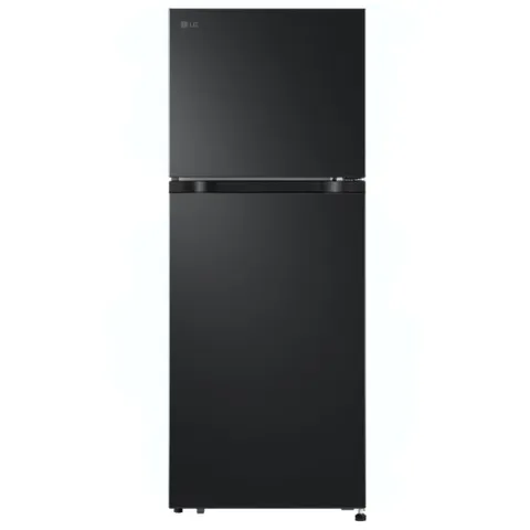 Tủ lạnh LG Inverter 217 lít LTB21BLMI