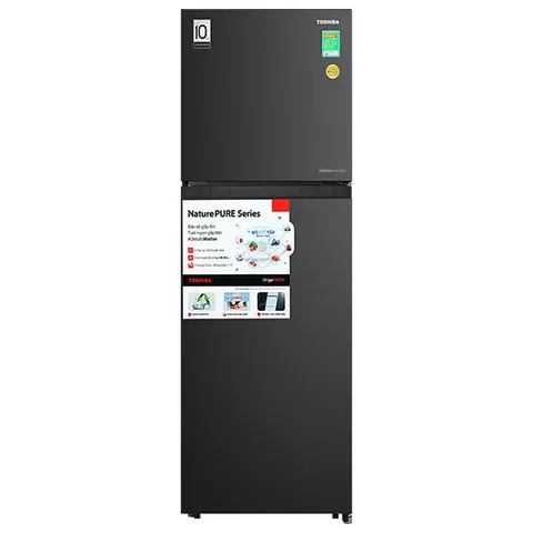 Tủ lạnh Toshiba Inverter 271 lít GR-RT349WE-PMV(68)