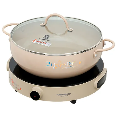 Bếp từ đơn Hawonkoo CEH-101-I-CF 2000W
