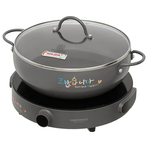 Bếp từ đơn Hawonkoo CEH-101-I-GR 2000W