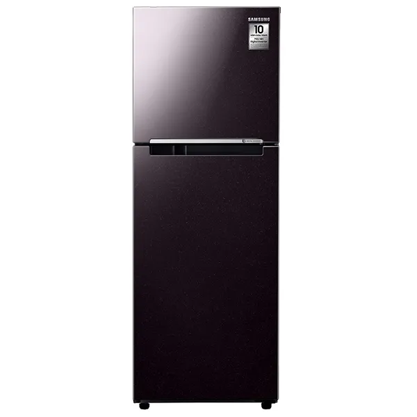 Tủ lạnh Samsung Inverter 236 lít RT22M4032BY/SV