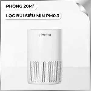 Máy lọc không khí Paveden PAP-M1133 15.6W