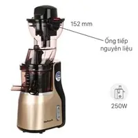 Máy ép chậm BlueStone SJB-6568